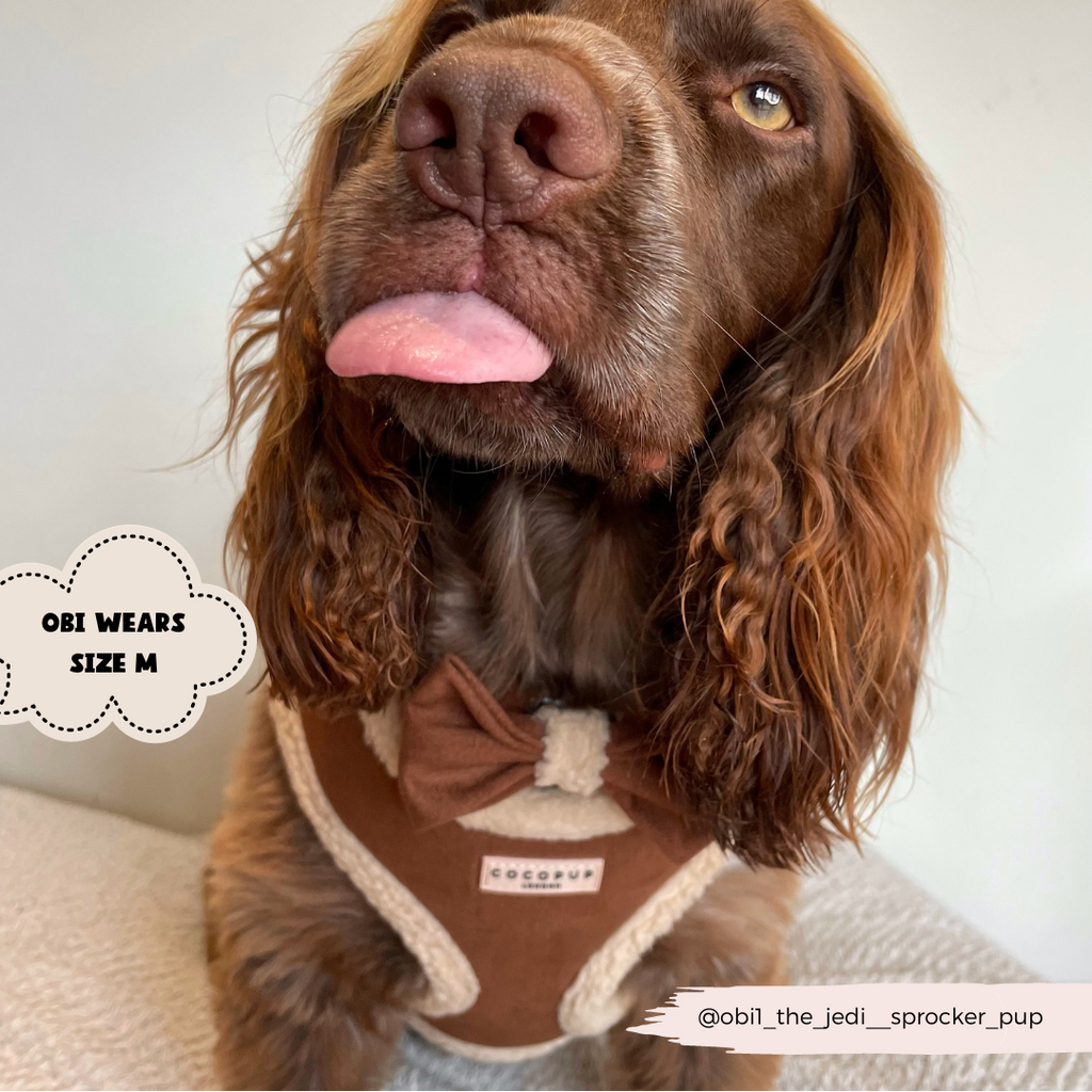 Adjustable Neck Dog Harness, Brown Faux Suede Walking Vest with Soft Fluffy Trim in XXS to Large Sizes source image 15