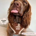 Adjustable Neck Dog Harness, Brown Faux Suede Walking Vest with Soft Fluffy Trim in XXS to Large Sizes source image 15