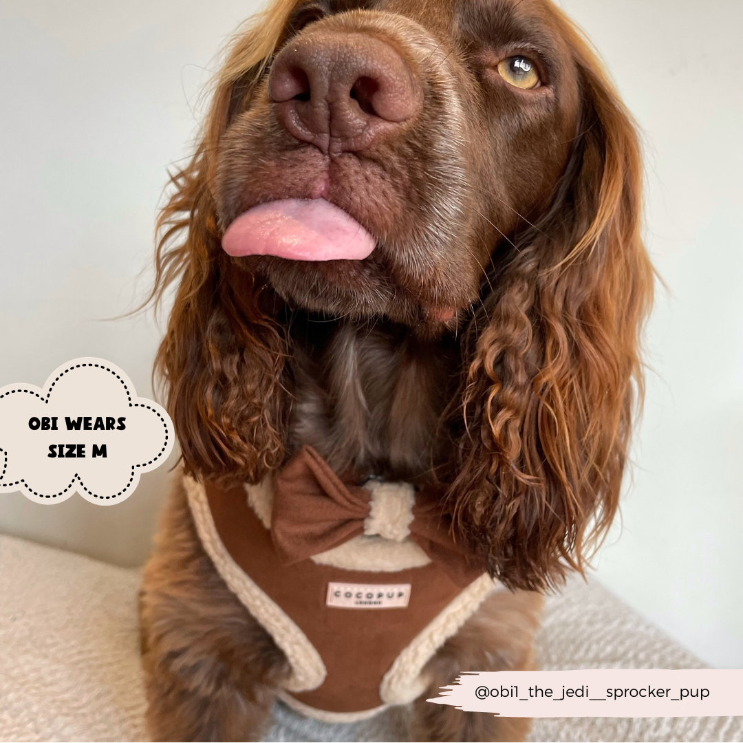 Adjustable Neck Dog Harness, Brown Faux Suede Walking Vest with Soft Fluffy Trim in XXS to Large Sizes source image 15