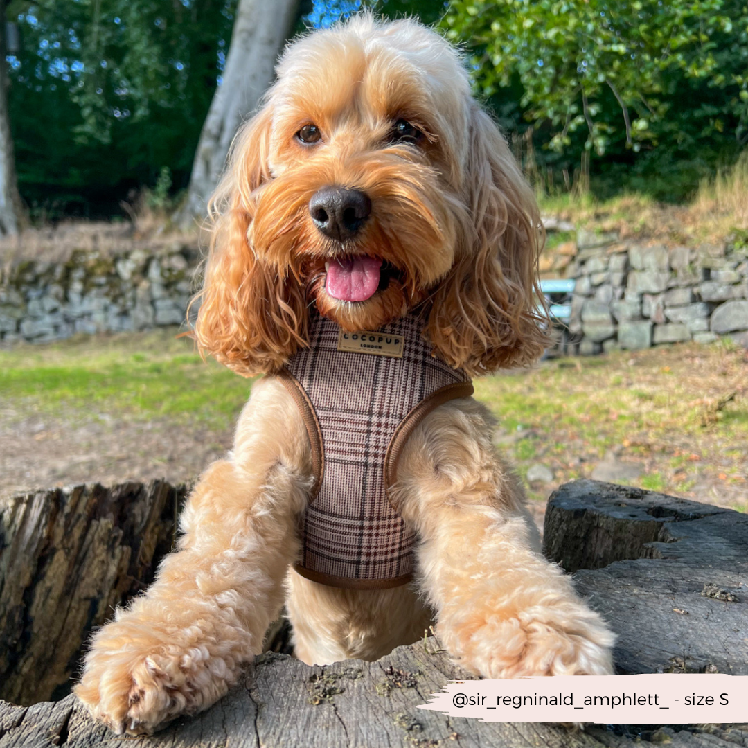 Adjustable Plaid Dog Harness for Comfortable Walks, Lightweight Polyester Design in Five Sizes source image 15