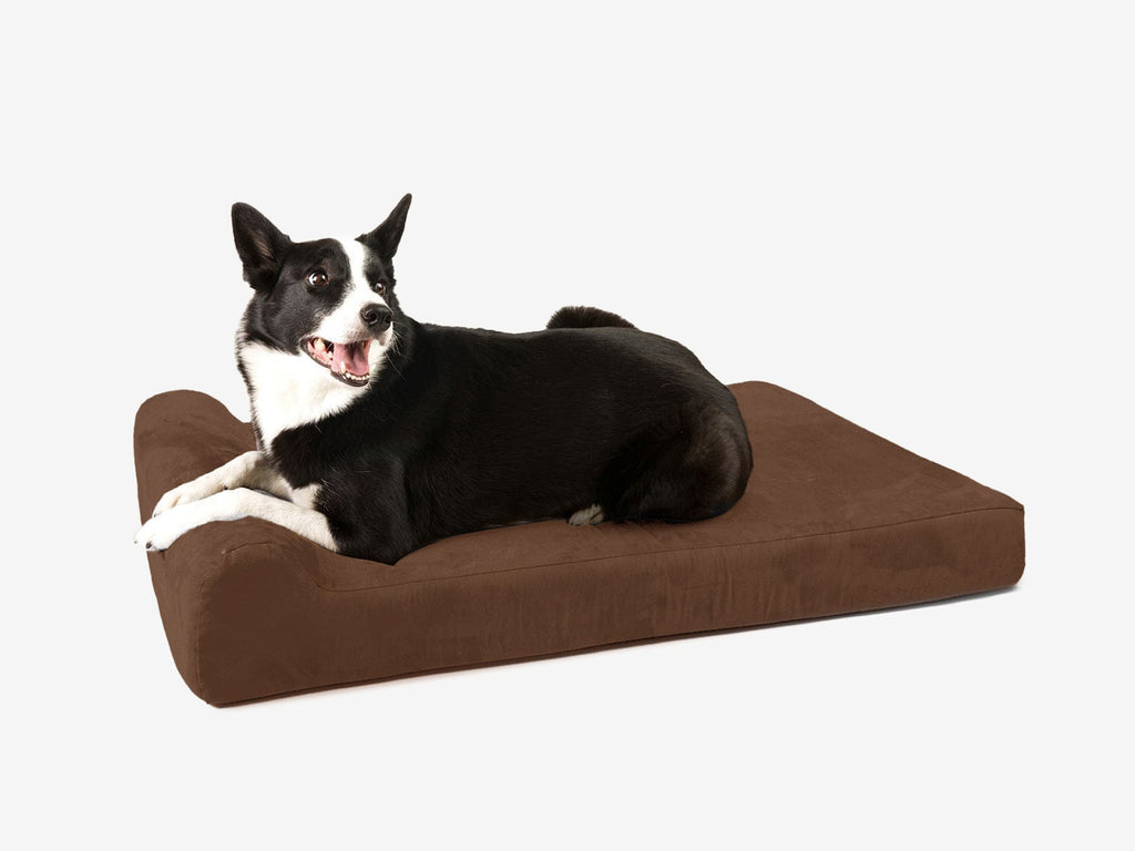 Orthopedic Dog Bed for Small and Medium Dogs, 4-Inch Layered Foam in Headrest and Sofa Styles source image 15