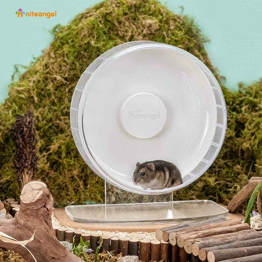 Super-Silent Hamster Exercise Wheel with Adjustable Height and Dual-Bearing Spinner in Four Sizes source image 15