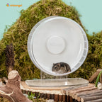 Super-Silent Hamster Exercise Wheel with Adjustable Height and Dual-Bearing Spinner in Four Sizes source image 15