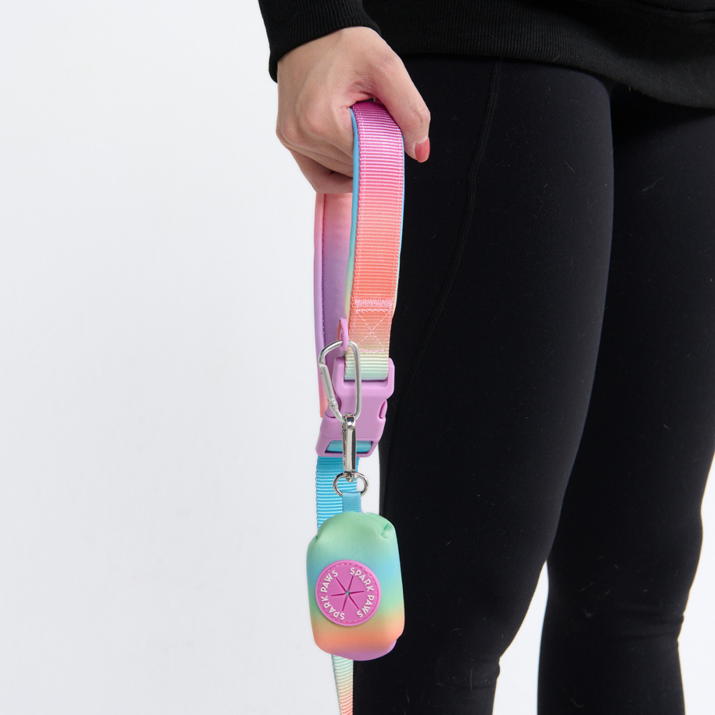 Hands-Free Dog Leash and Waste Bag Holder Set, Bungee Control and Dual Handles for Everyday Walks source image 15