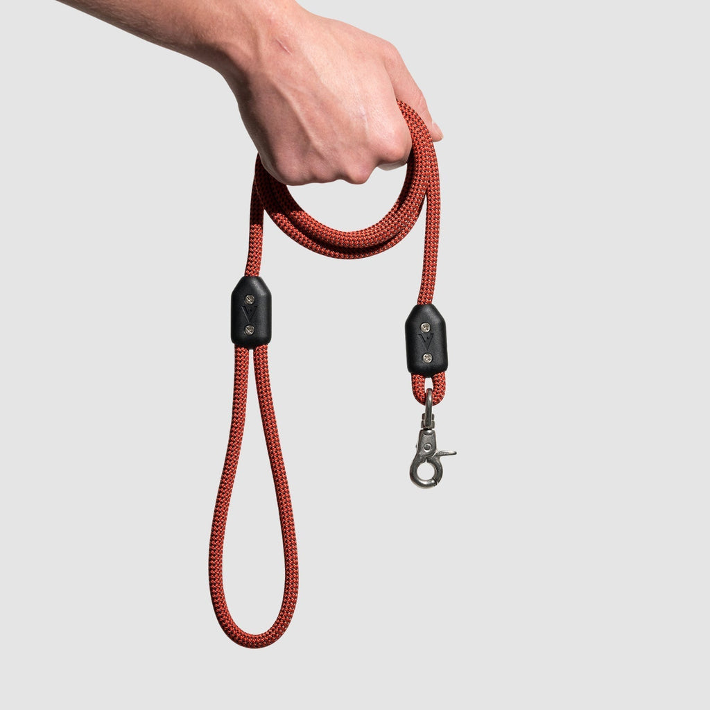 Climbing Rope Dog Leash with Stainless Steel Swivel Clip for Daily 5- or 8-Foot Walks and Trail Outings product image 15