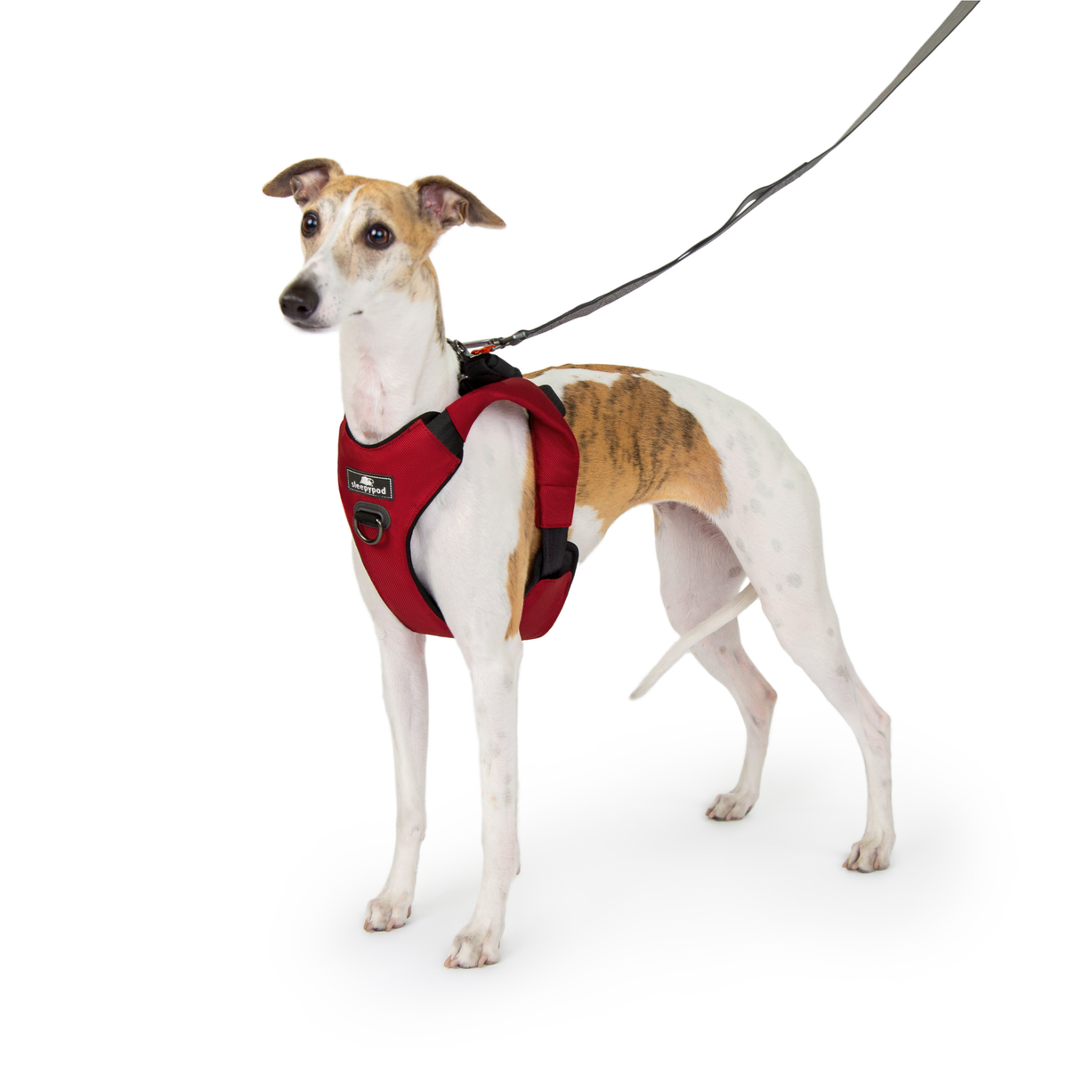 Crash-Tested Dog Car Safety Harness product image 15