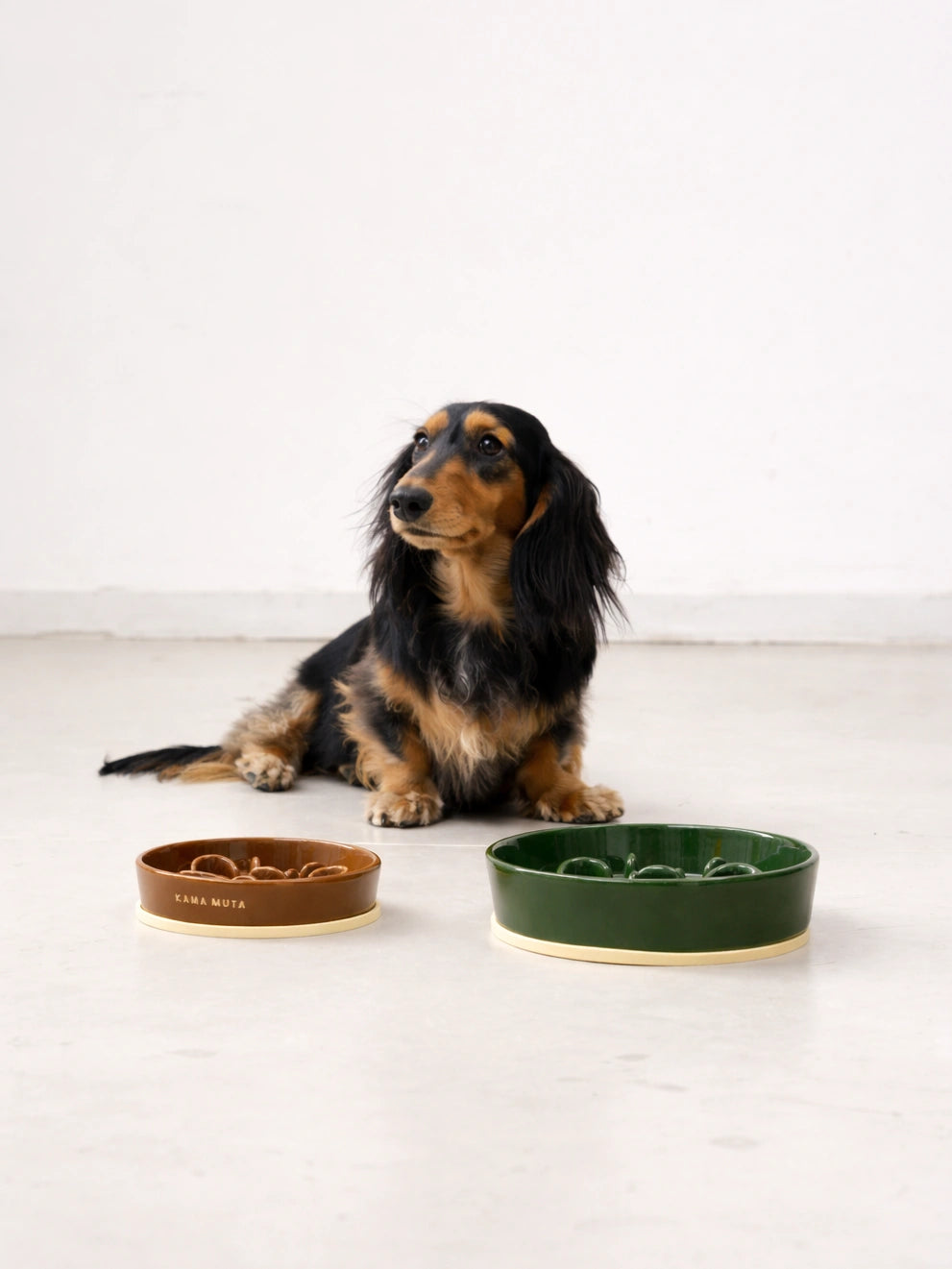 Slow Feeder Bowl product image 15