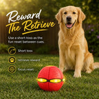 Transforming Pet Toy product image 15
