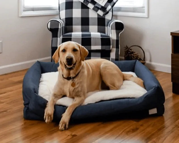 Orthopedic Dog Bed product image 15