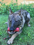 Dog Training Dummy product image 15