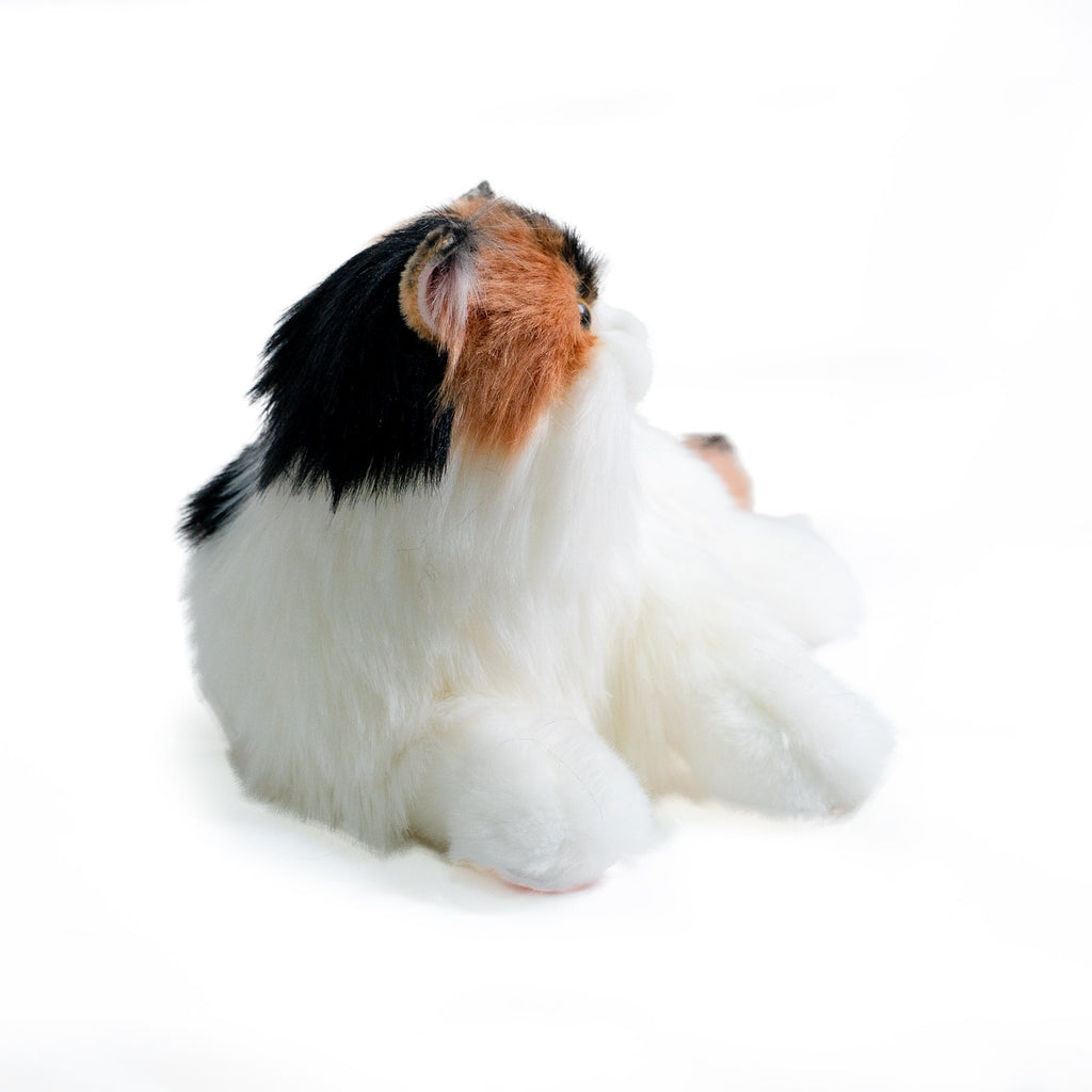 Robotic Cat product image 15