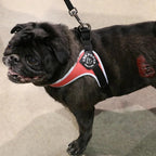 Pet Harness product image 15