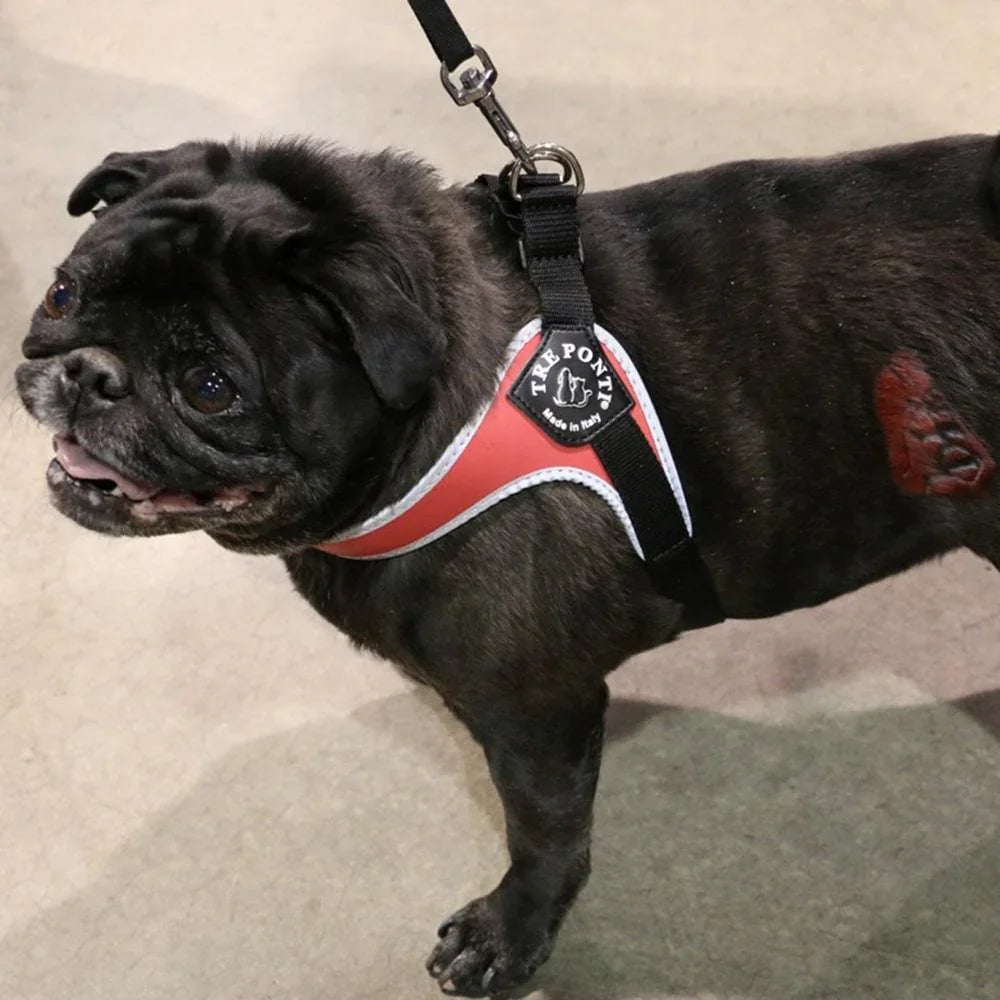 Pet Harness product image 15