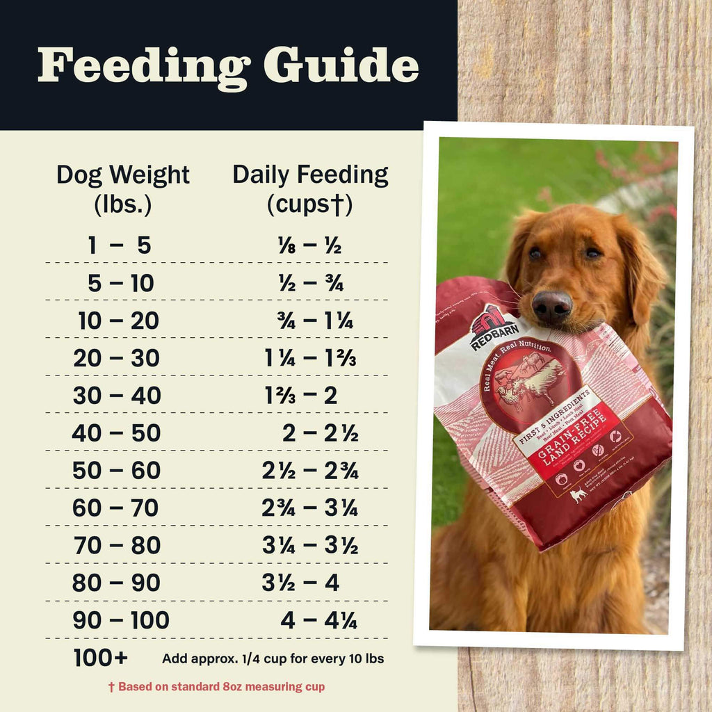 Grain-Free Beef and Lamb Dog Food product image 15