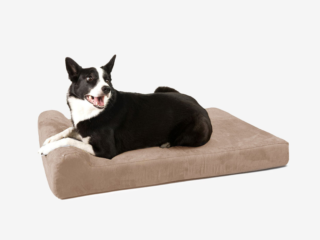 Orthopedic Dog Bed for Small and Medium Dogs, 4-Inch Layered Foam in Headrest and Sofa Styles source image 16