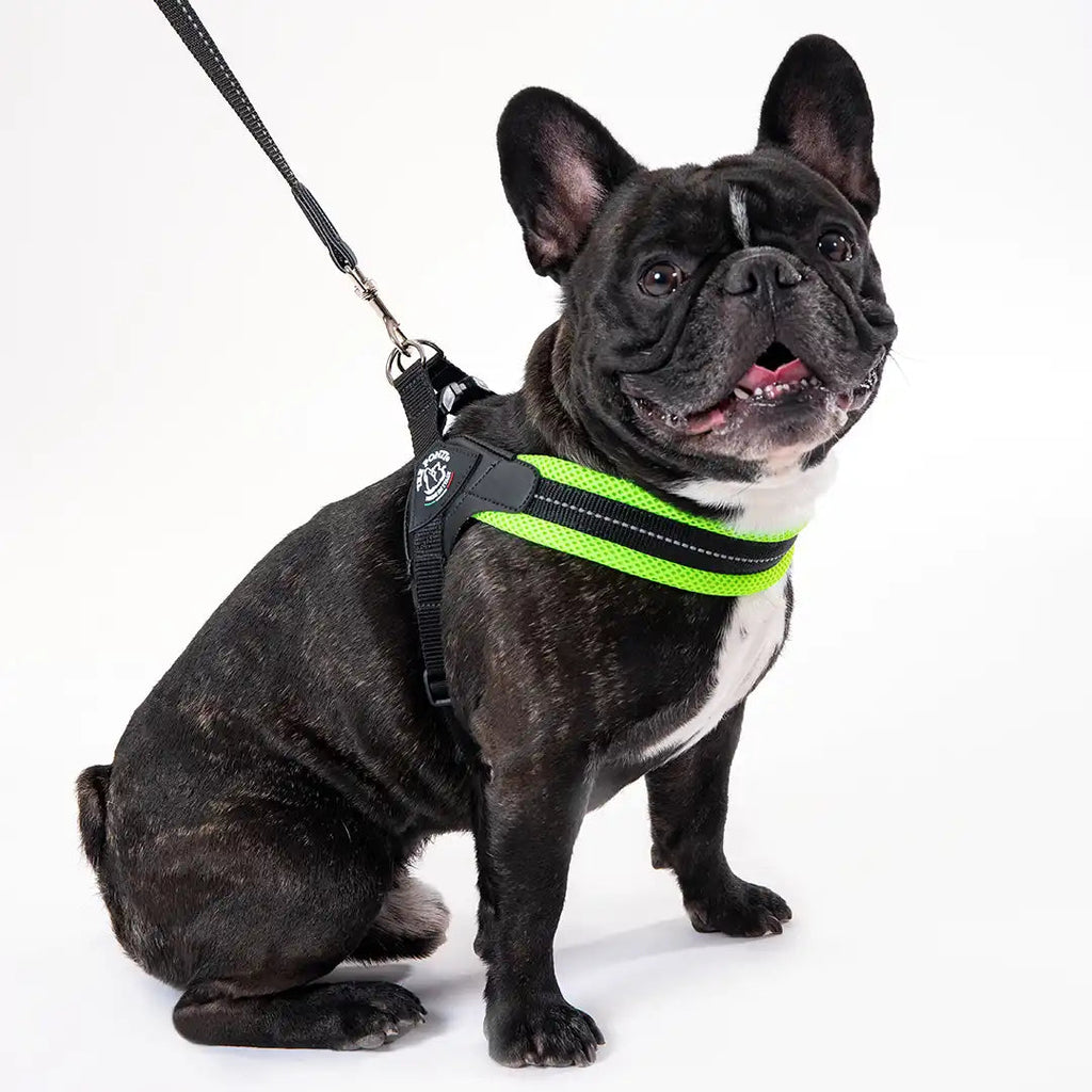 Adjustable Mesh Dog Harness for Small to Medium Pets, Reflective Step-In Design Across Seven Chest Sizes source image 16