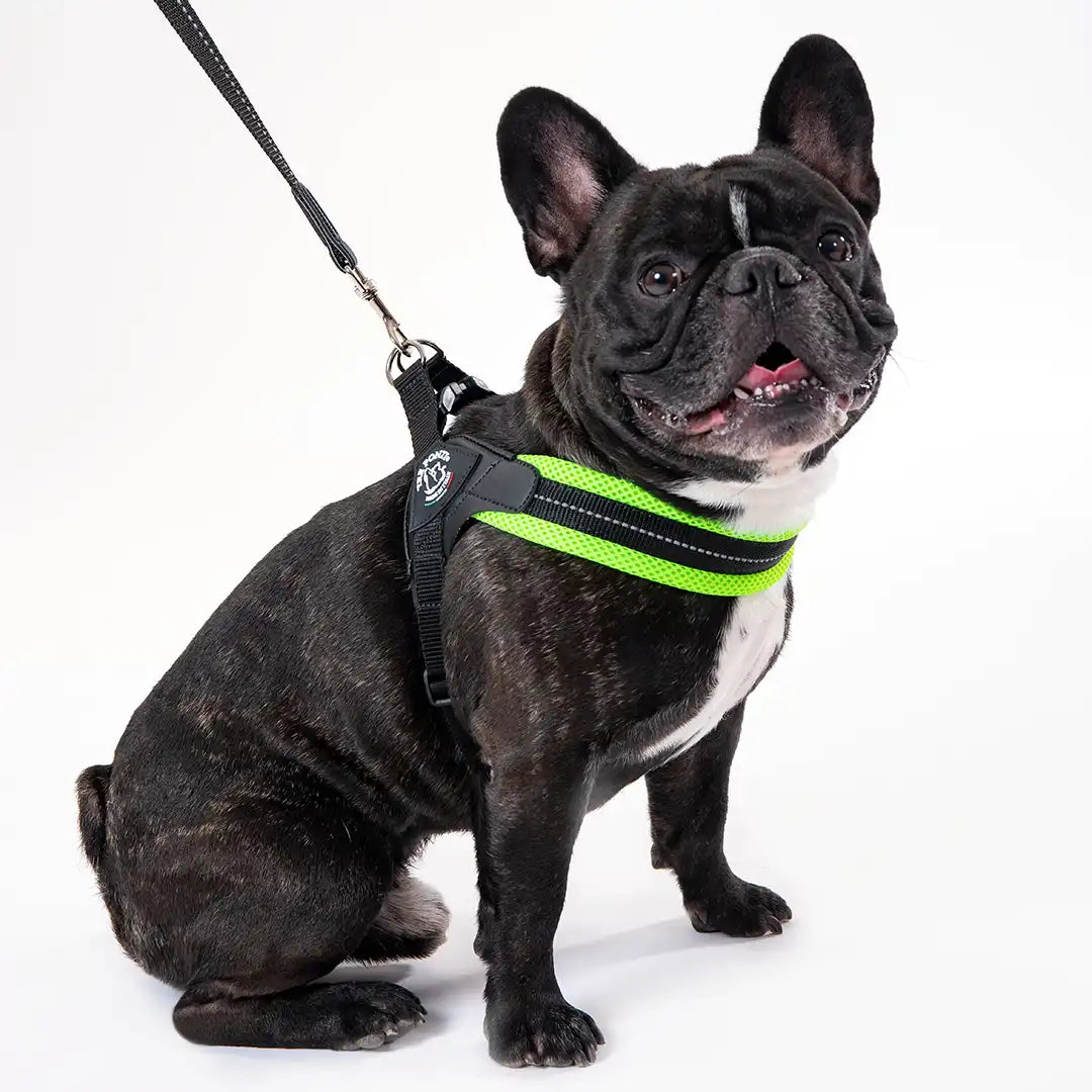 Adjustable Mesh Dog Harness for Small to Medium Pets, Reflective Step-In Design Across Seven Chest Sizes source image 16