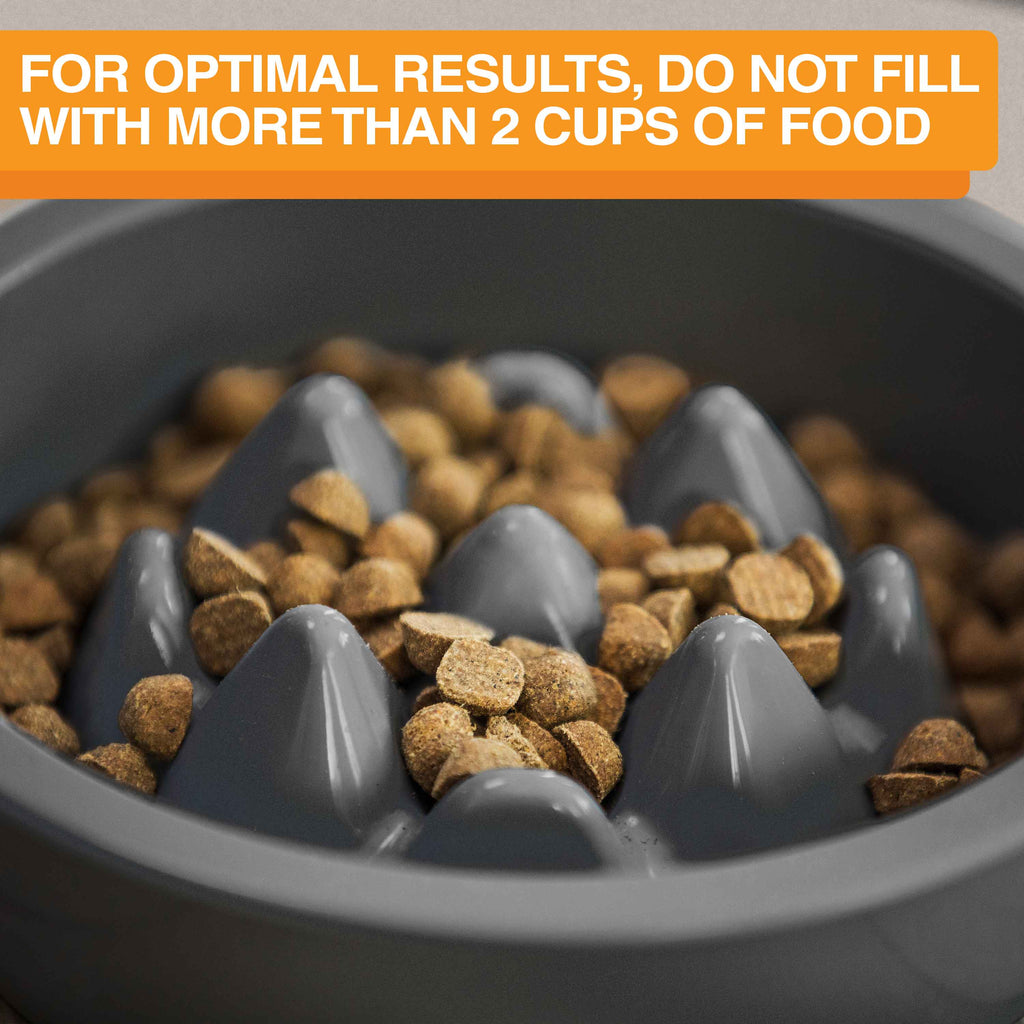 Slow Feeder Dog Bowl, Nine-Peak Non-Skid Two-Cup Design for Flat-Faced and Fast-Eating Dogs source image 16