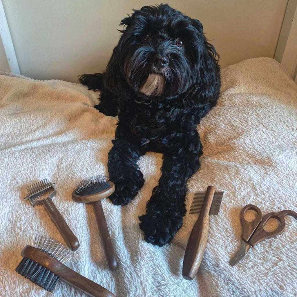 Dog Grooming Tool Set for Cavoodles, Five-Piece Brush, Comb, Dematting and Nail Care Kit in a Storage Box source image 16