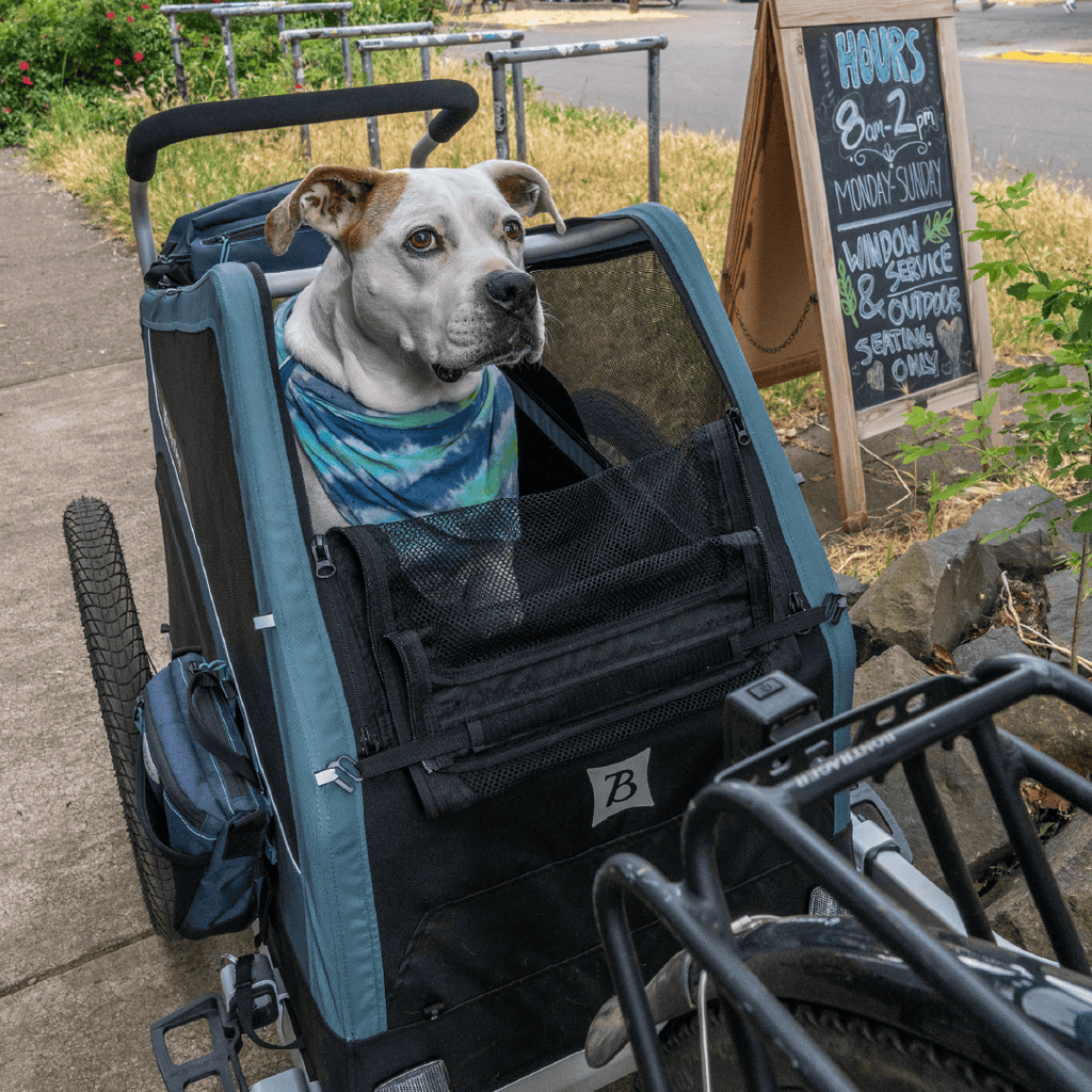 Convertible Dog Bike Trailer and Stroller for Medium or Large Dogs, Roll-Up Windows and 75- or 100-Lb Capacity source image 16