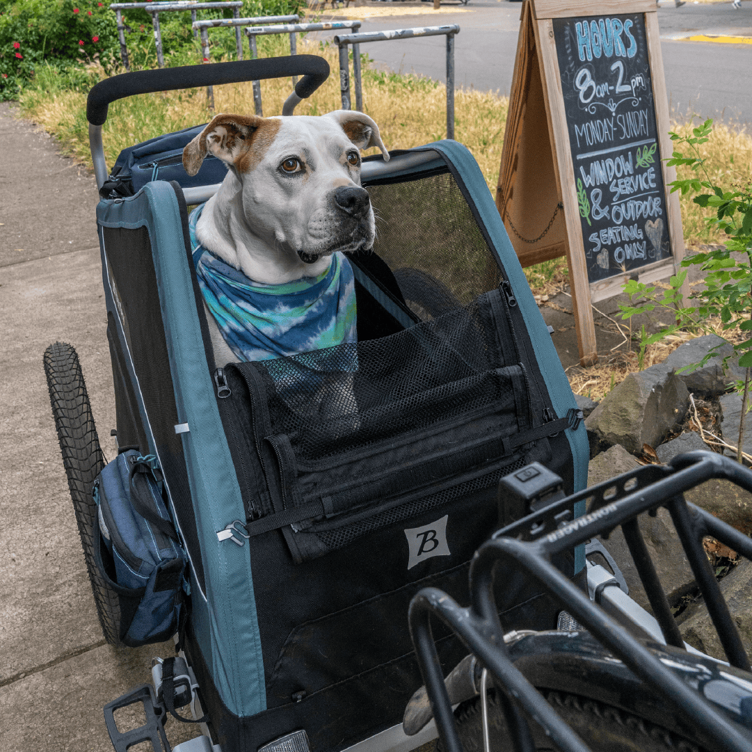 Convertible Dog Bike Trailer and Stroller for Medium or Large Dogs, Roll-Up Windows and 75- or 100-Lb Capacity source image 16