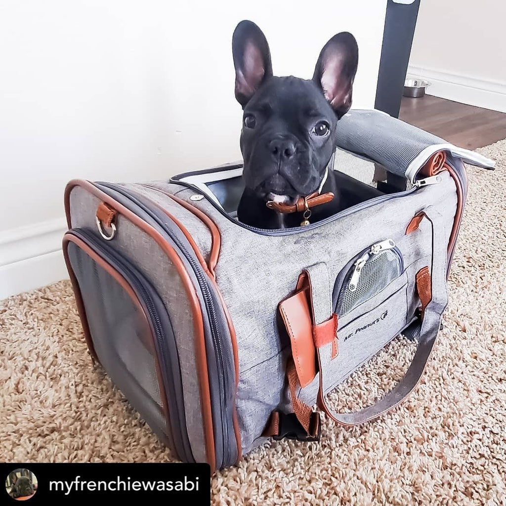 Soft-Sided Airline Pet Carrier for Cats and Small Dogs with Mesh Ventilation and Expandable Port product image 16