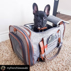 Soft-Sided Airline Pet Carrier for Cats and Small Dogs with Mesh Ventilation and Expandable Port product image 16