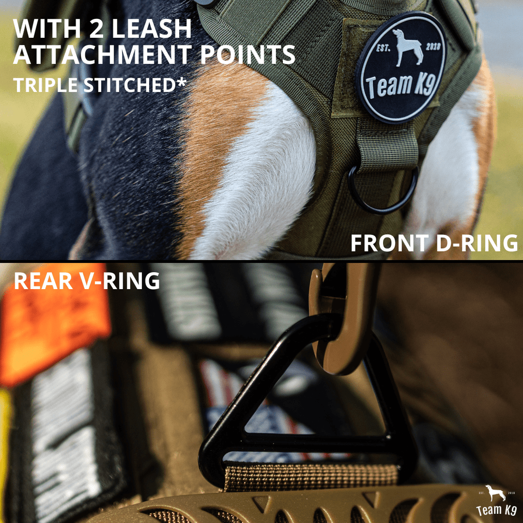 Heavy-Duty Tactical No-Pull Dog Harness with Dual D-Ring Control and Quick-Release Metal Buckles product image 16