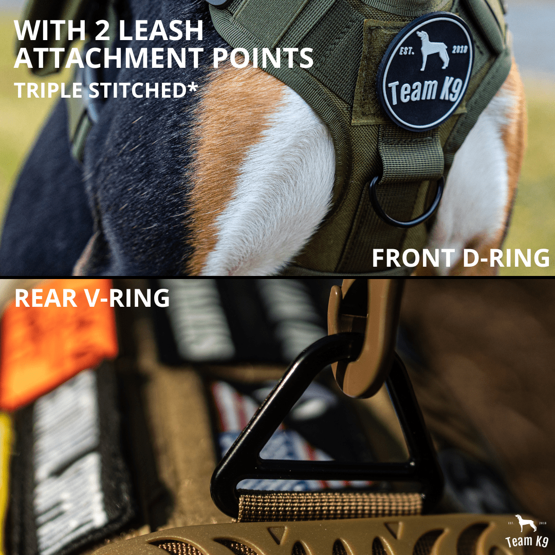 Heavy-Duty Tactical No-Pull Dog Harness with Dual D-Ring Control and Quick-Release Metal Buckles product image 16