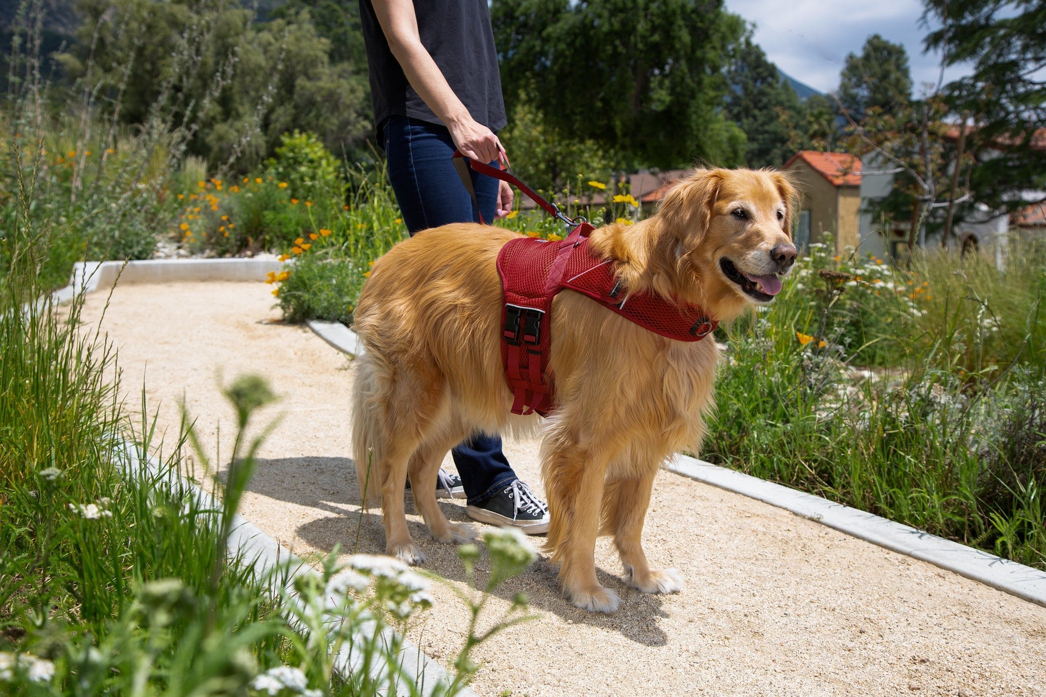 Martingale Dog Harness product image 16