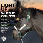 Nylon Horse Halter product image 16