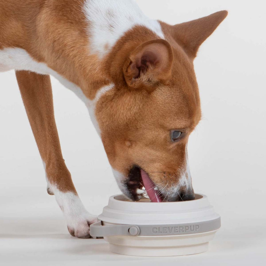 Travel Dog Bowl product image 16
