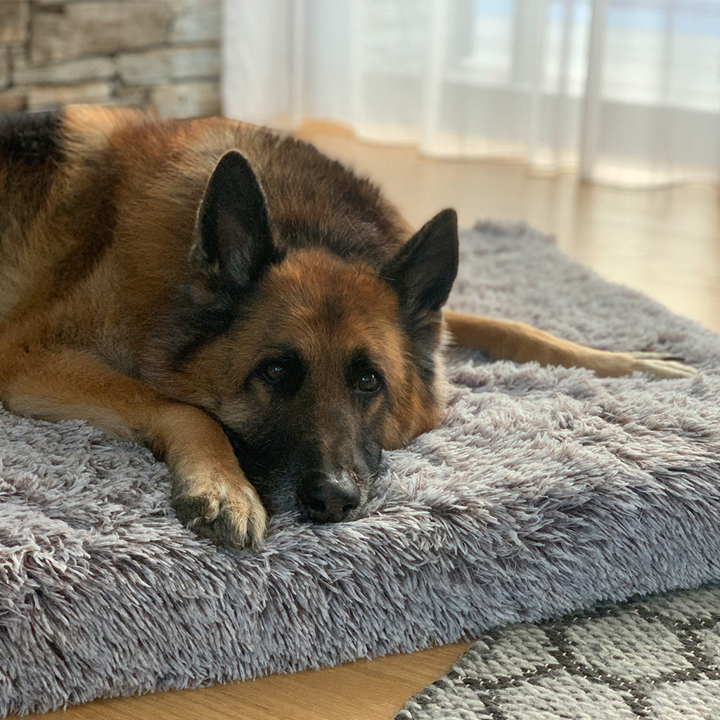 Memory Foam Dog Bed product image 16