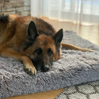 Memory Foam Dog Bed product image 16