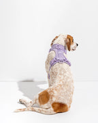 Dog Harness product image 16
