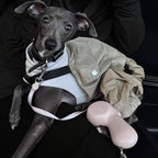 Retractable Dog Leash product image 16