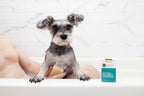 Dog Soap product image 16