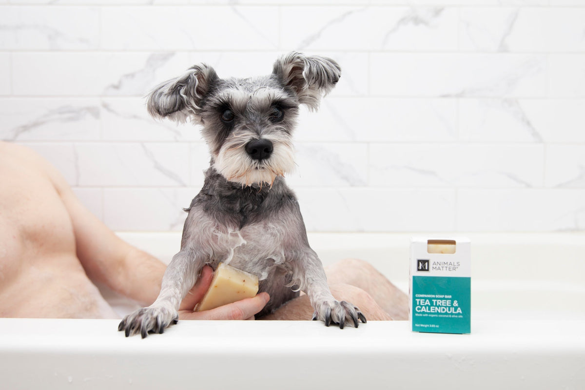 Dog Soap product image 16