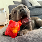 Dog Toy Collection product image 16