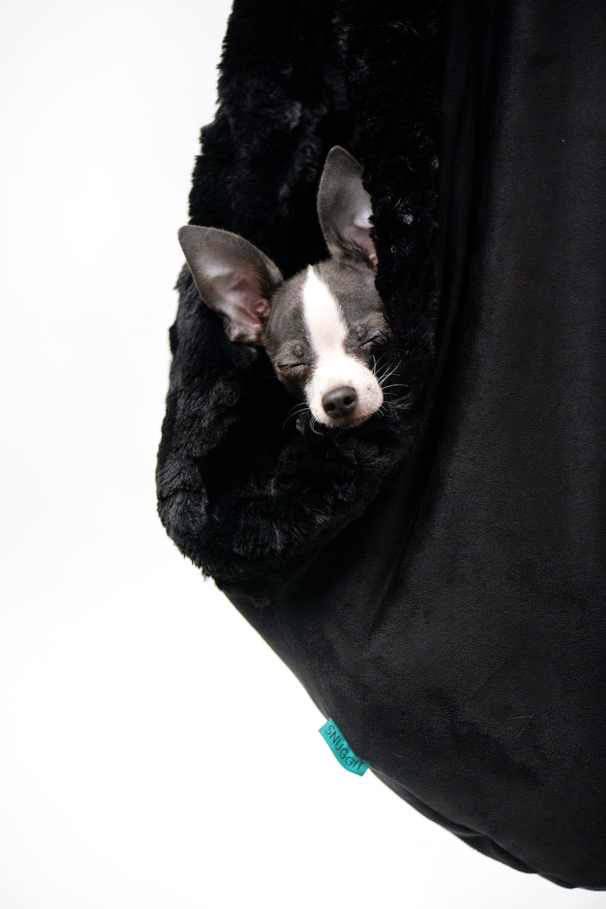 Pet Carrier product image 16