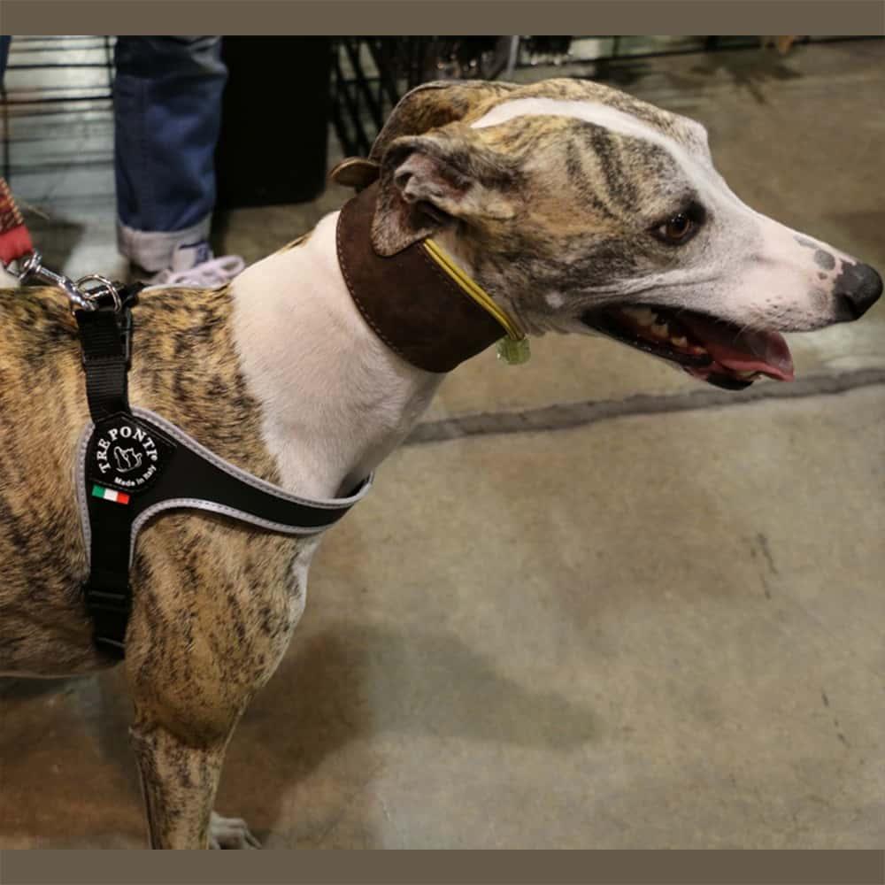 Pet Harness product image 16