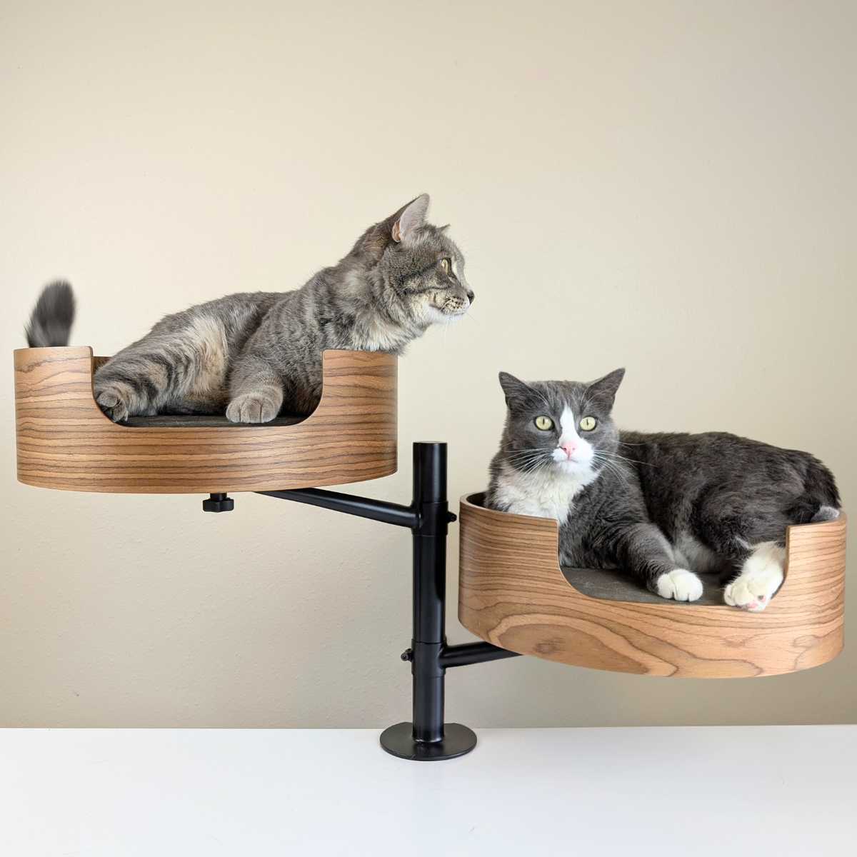 Desk-Mounted Cat Bed for Workspaces, Elevated Single or Double Nest in Walnut and White Oak Finishes source image 17