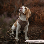 Adjustable Plaid Dog Harness for Comfortable Walks, Lightweight Polyester Design in Five Sizes source image 17