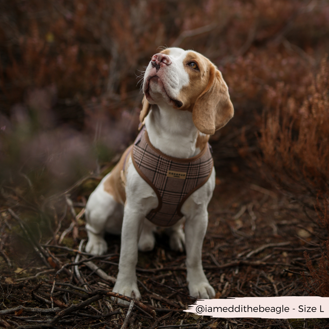 Adjustable Plaid Dog Harness for Comfortable Walks, Lightweight Polyester Design in Five Sizes source image 17