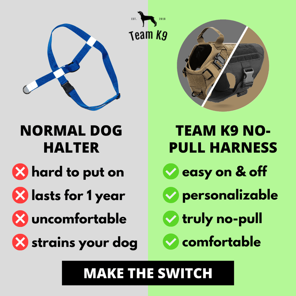 Heavy-Duty Tactical No-Pull Dog Harness with Dual D-Ring Control and Quick-Release Metal Buckles product image 17