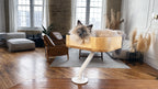 Rotating Desk-Mounted Cat Bed with Tool-Free Clamp, Handwoven or Birchwood Nest for Cats up to 45 lb source image 17
