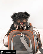 Soft-Sided Airline Pet Carrier for Cats and Small Dogs with Mesh Ventilation and Expandable Port product image 17