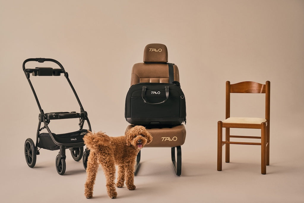 Ventilated Pet Car Seat System product image 17
