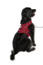 Martingale Dog Harness product image 17
