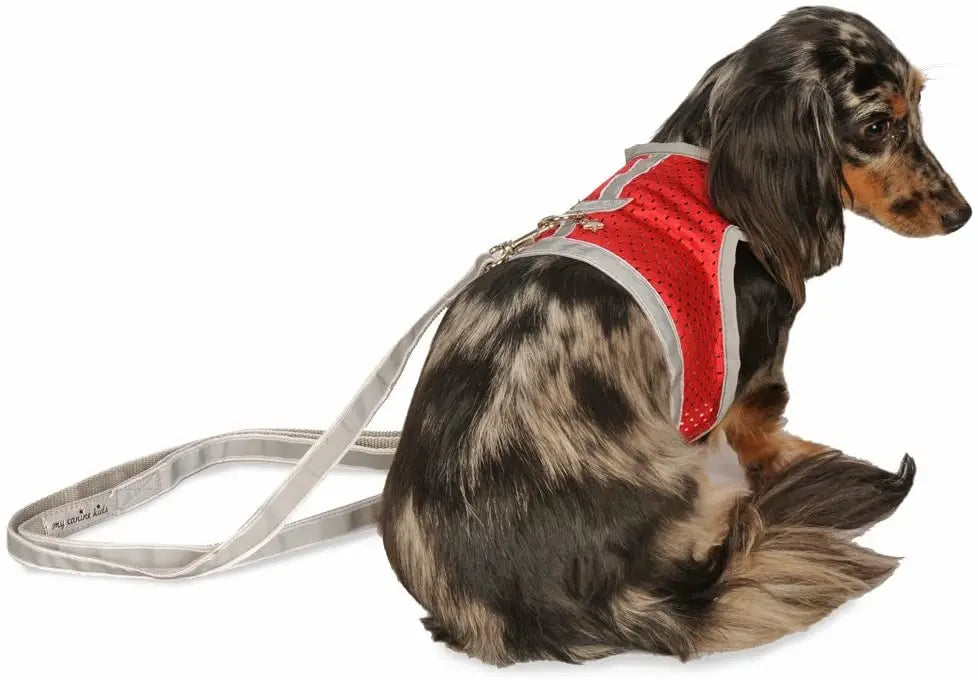 Reflective Mesh Small Pet Harness product image 17
